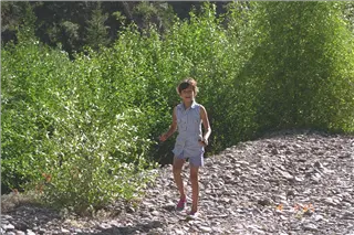 small_9511 2525 co paef etcIMG0041.webp